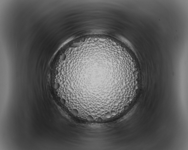 X0000083590827200703021842