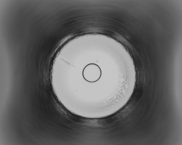 X0000083590828200703021842