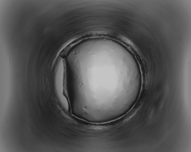 X0000083590829200703021842