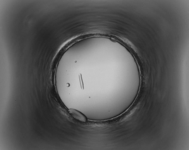 X0000083590830200703021842