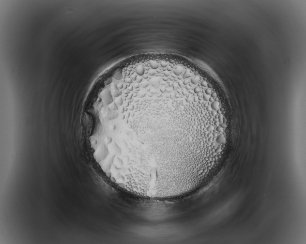 X0000083590831200703021842
