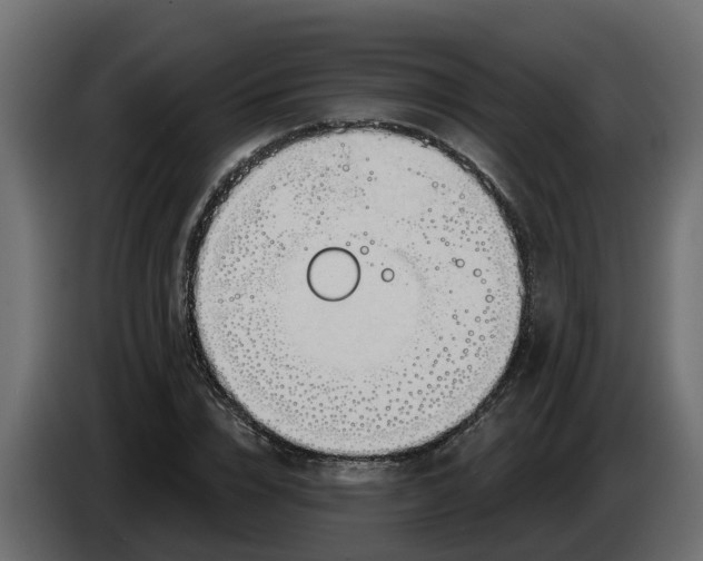 X0000083590832200703021842