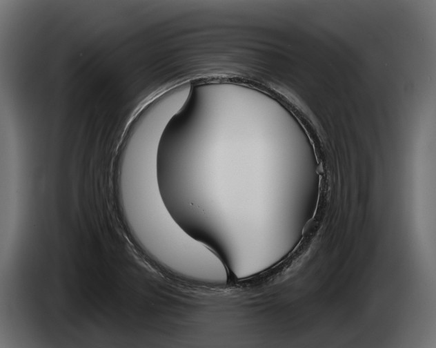 X0000083590834200703021843
