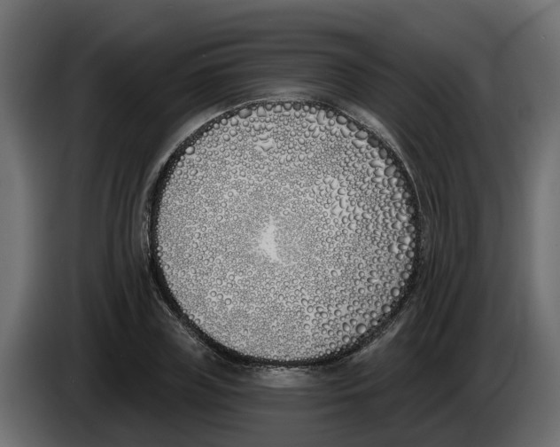 X0000083590835200703021843