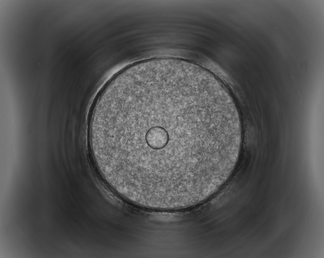 X0000083590836200703021843