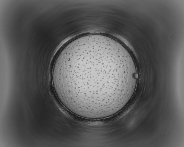 X0000083590837200703021843