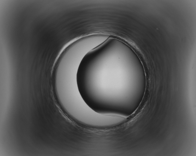 X0000083590838200703021843