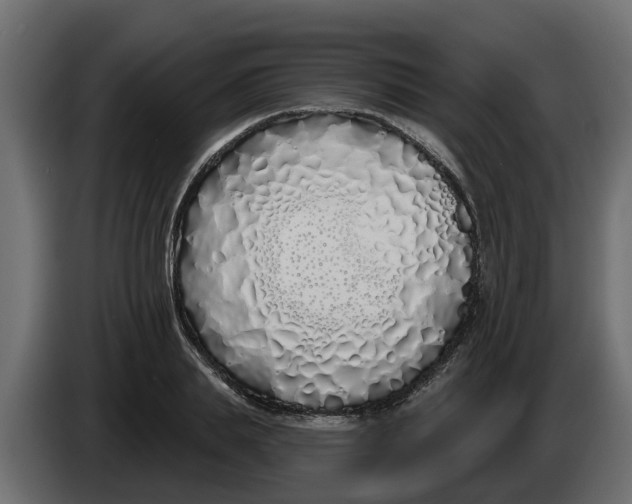 X0000083590839200703021843