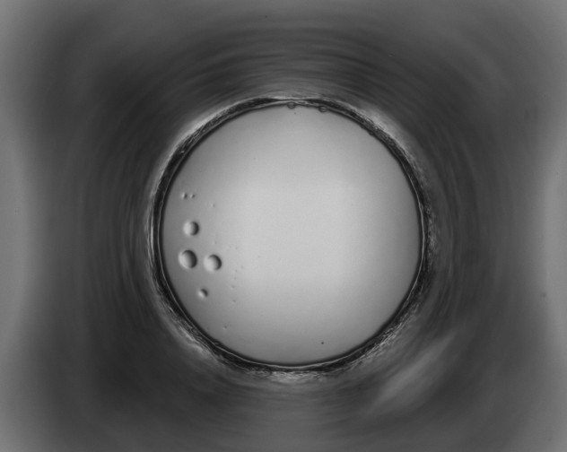 X0000083590840200703021843