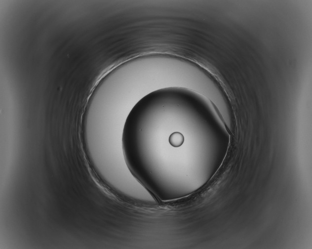 X0000083590842200703021843