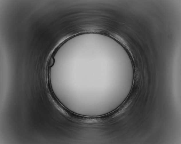 X0000083590843200703021843