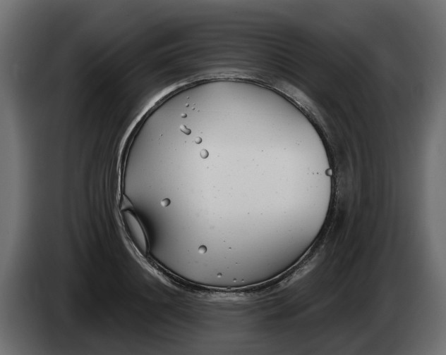 X0000083590844200703021843