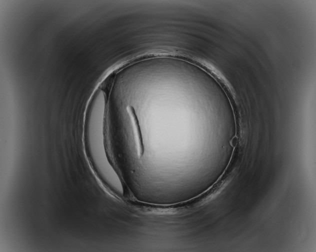 X0000083590845200703021843
