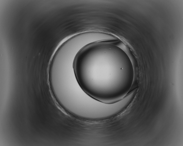 X0000083590846200703021843