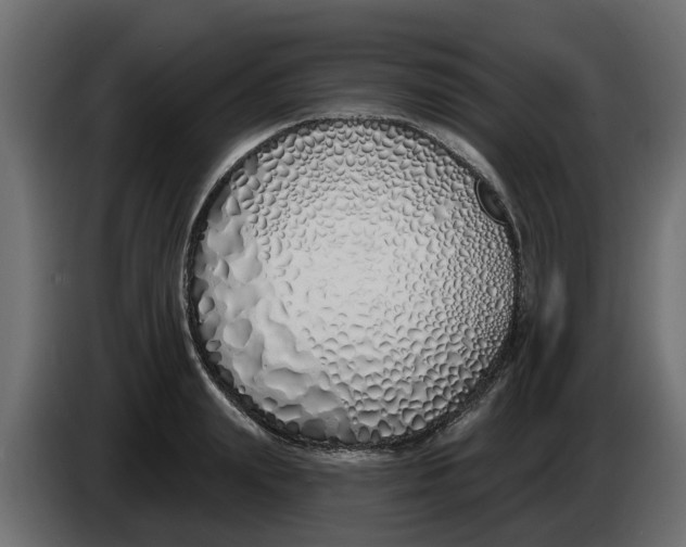 X0000083590847200703021843