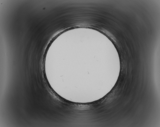 X0000083590848200703021843