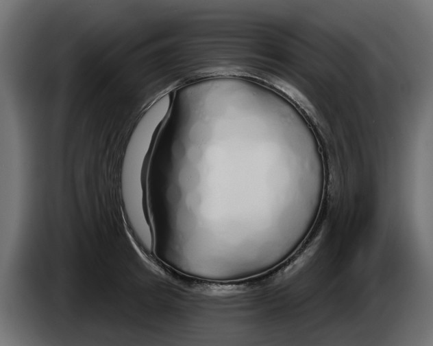 X0000083590849200703021843