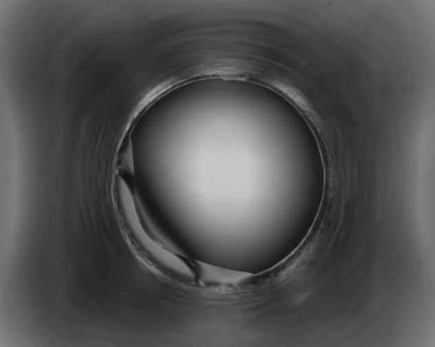 X0000083590850200703021843