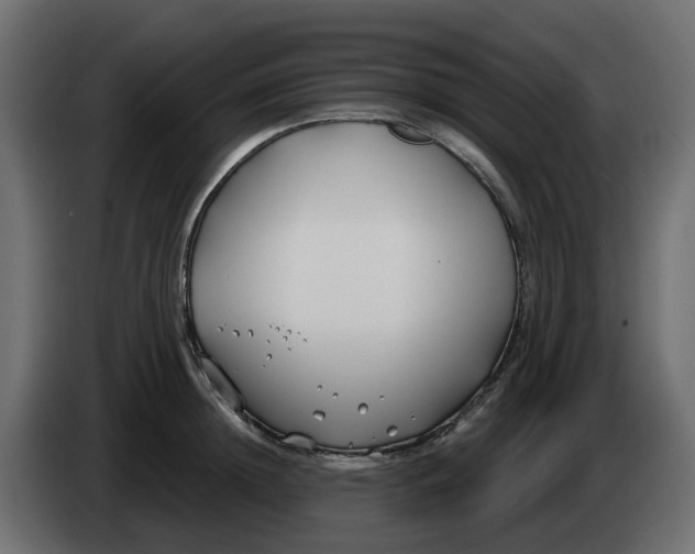 X0000083590852200703021843