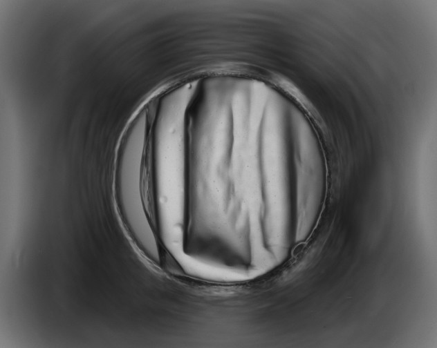 X0000083590853200703021843