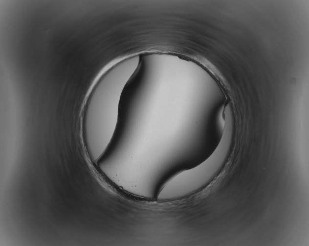 X0000083590854200703021843