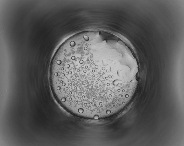 X0000083590855200703021843
