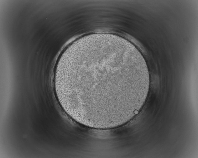 X0000083590856200703021843