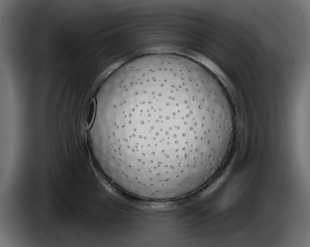 X0000083590857200703021843