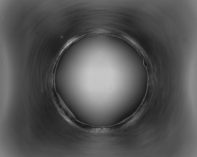 X0000083590858200703021843