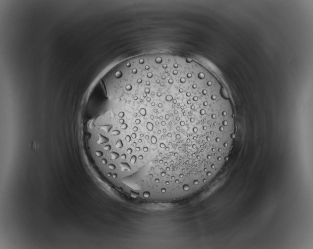 X0000083590859200703021843