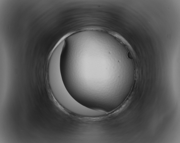X0000083590860200703021843