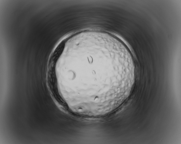 X0000083590861200703021843