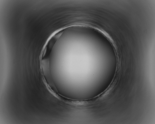 X0000083590862200703021843