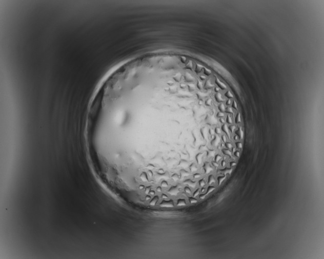 X0000083590863200703021843