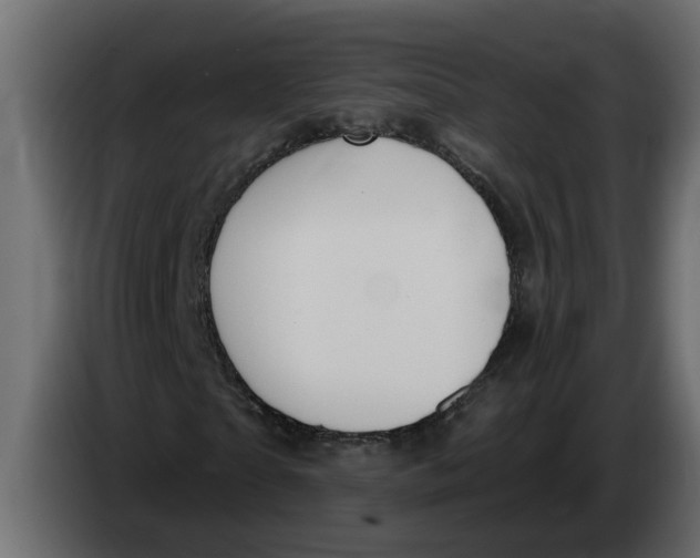 X0000083590865200703021842
