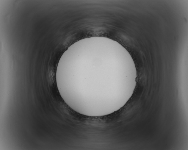 X0000083590866200703021842