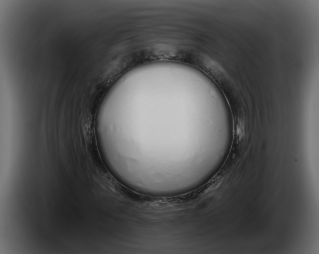 X0000083590867200703021842