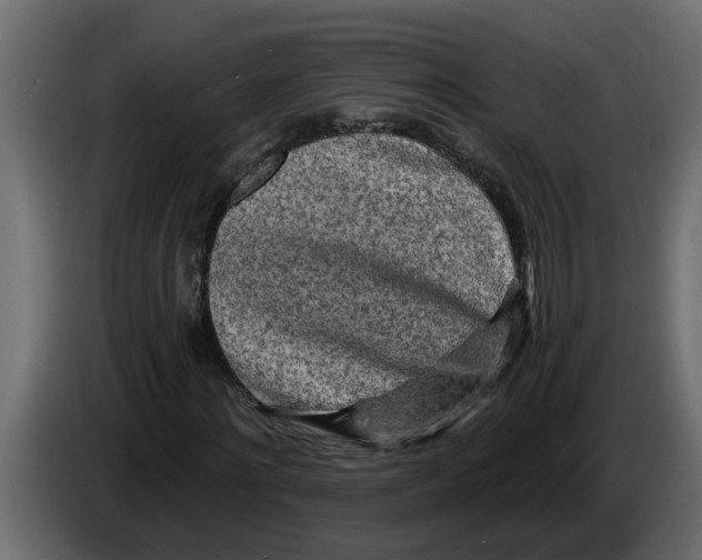 X0000083590868200703021842
