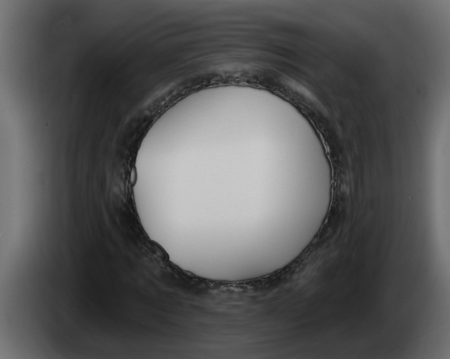 X0000083590869200703021842