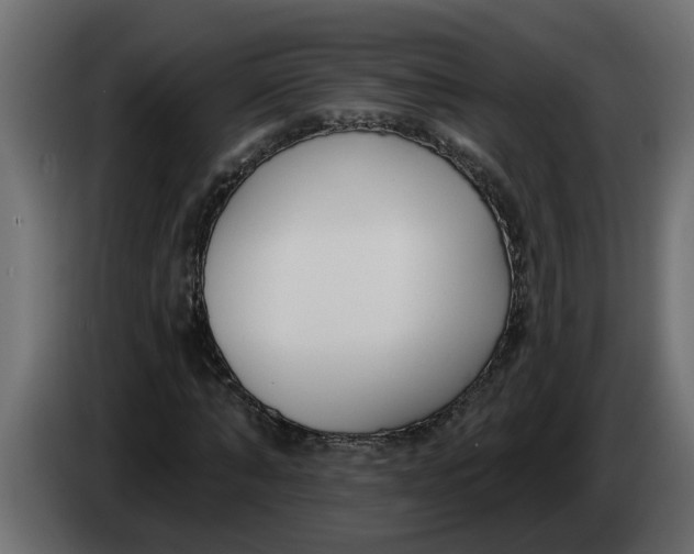 X0000083590870200703021842
