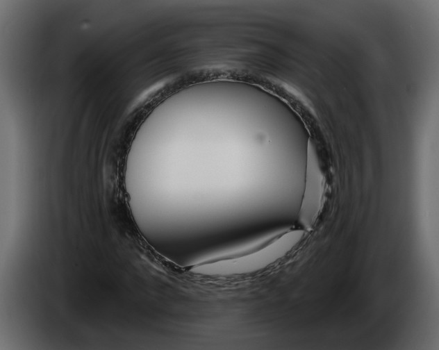 X0000083590872200703021842