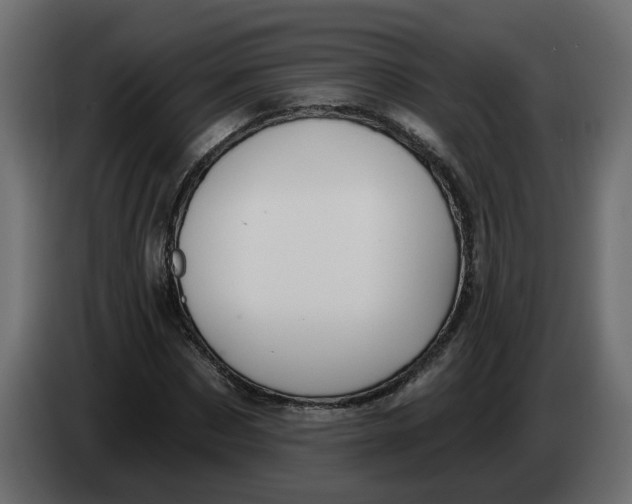 X0000083590873200703021842