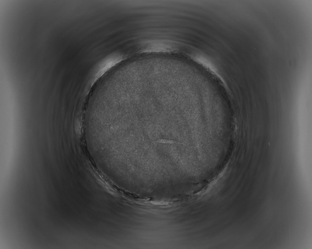 X0000083590874200703021842