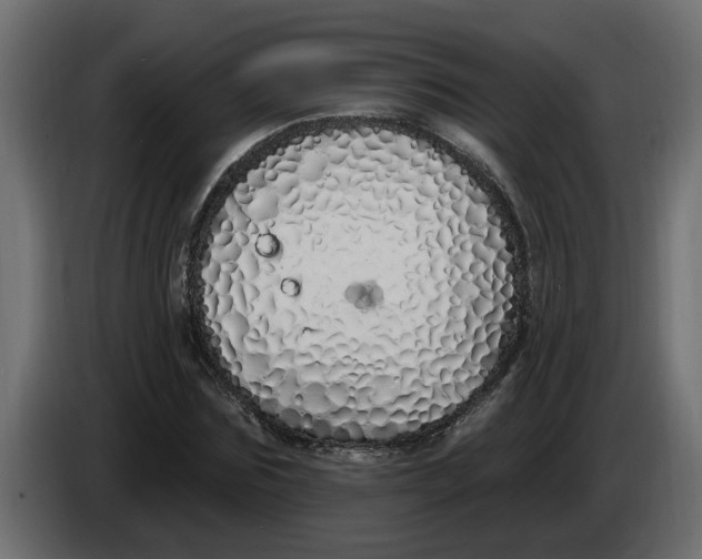 X0000083590875200703021842