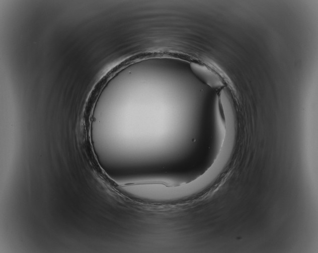 X0000083590876200703021842
