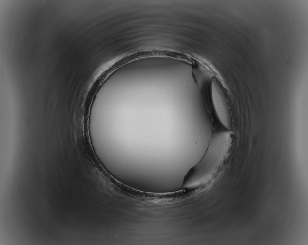 X0000083590877200703021842