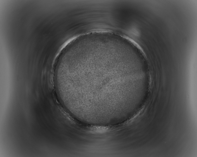 X0000083590878200703021842