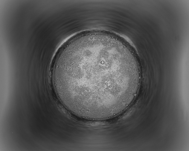 X0000083590879200703021842