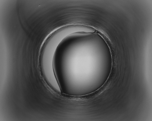 X0000083590880200703021842