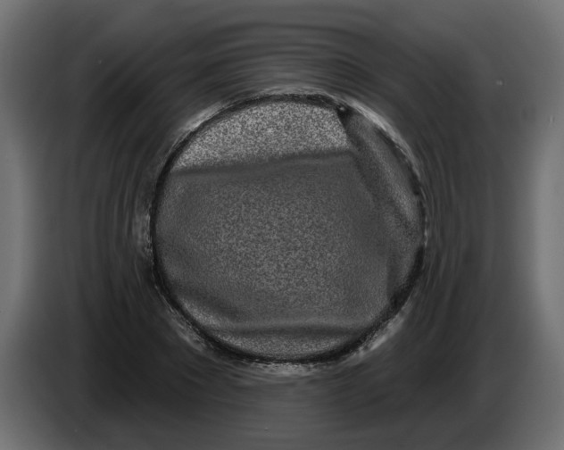 X0000083590881200703021842